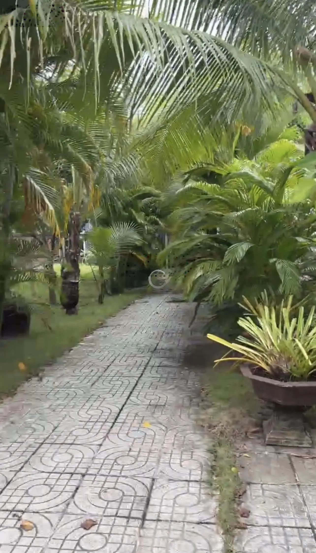 Bán nhà vườn 1000m2, 10 phòng cho thuê homestay và 01 nhà xây đẹp chủ ở