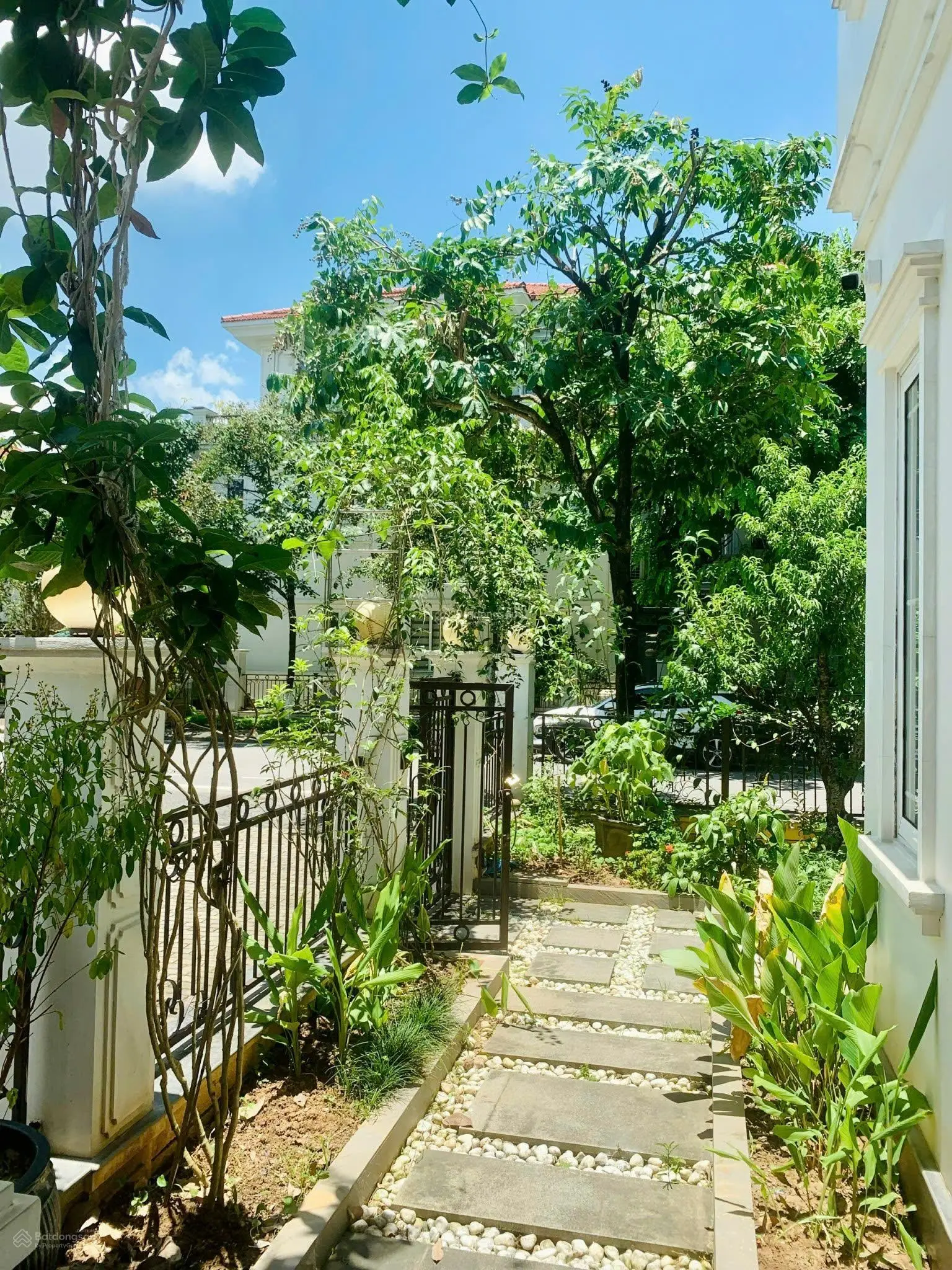 Cần bán căn đơn lập góc diện tích 270m2 giá bán 230tr/m2, sẵn sổ cất két