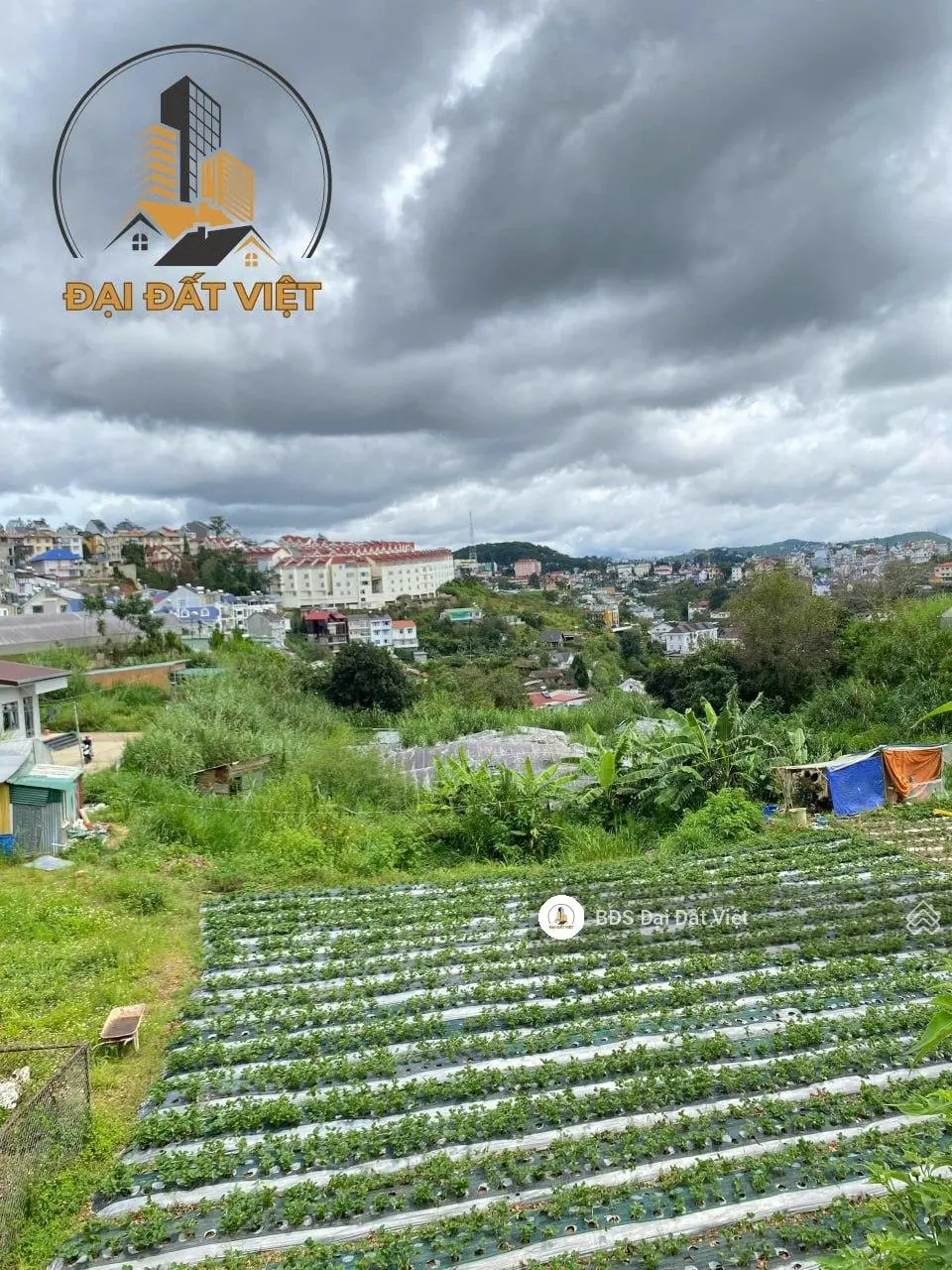 Bán khu đất xây dựng villa view thành phố triệu việt vương đà lạt - 9.3 tỷ
