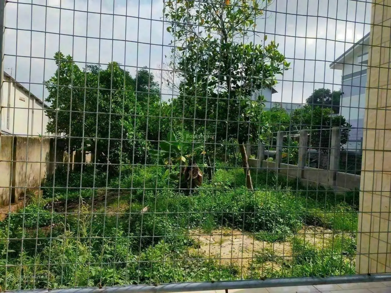 Bán đất Xuân Phương giáp đường Trịnh Văn Bô 50m2 mặt tiền 6m chỉ 7 tỷ