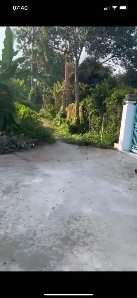 bán vườn 3115m2 . cách nhựa vài bước ( 70x45m )