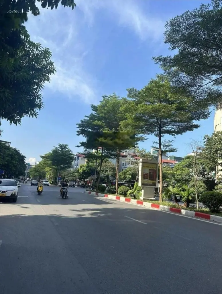 Hot nhất Cầu Giấy- Phố Trần Thái Tông đỉnh cao của các tòa văn phòng công ty 100m2- MT 8m 75 tỷ