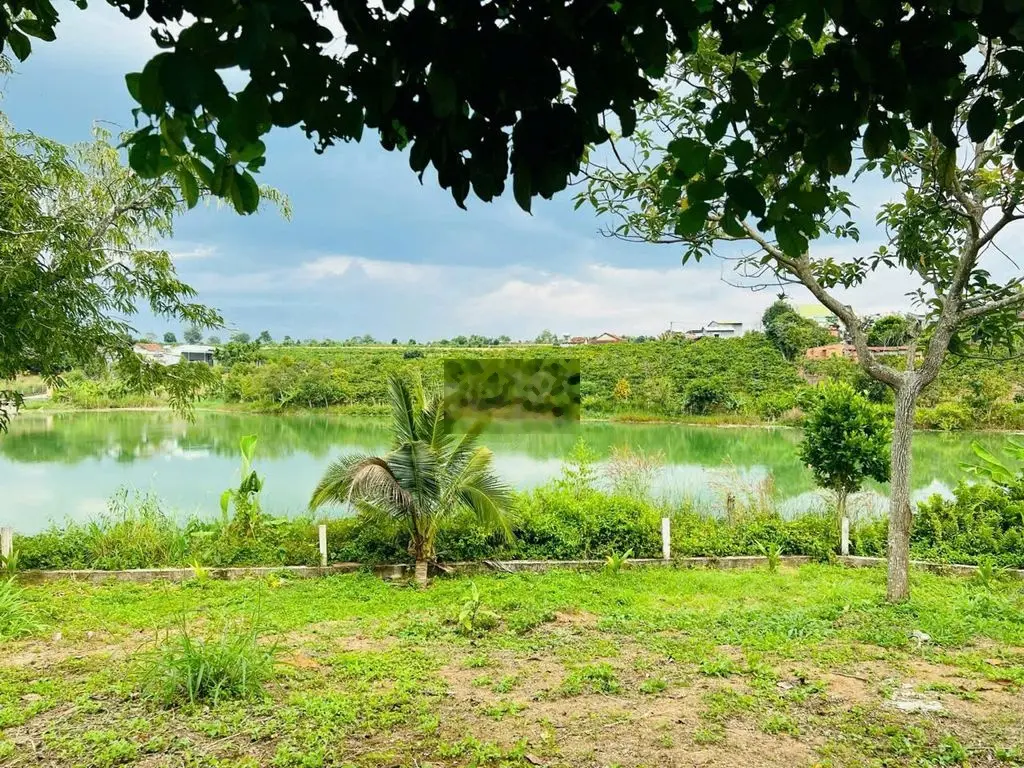 [BÁN ĐẤT ĐI NƯỚC NGOÀI] - thổ cư& trồng cây view hồ, Kon Tum