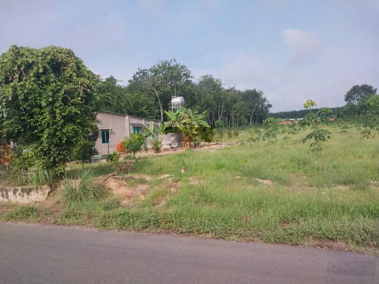 Cần Bán Gấp 5000m2 (5 sào) thổ cư sẵn 200m, mặt tiền đường nhựa Giá 980trieu