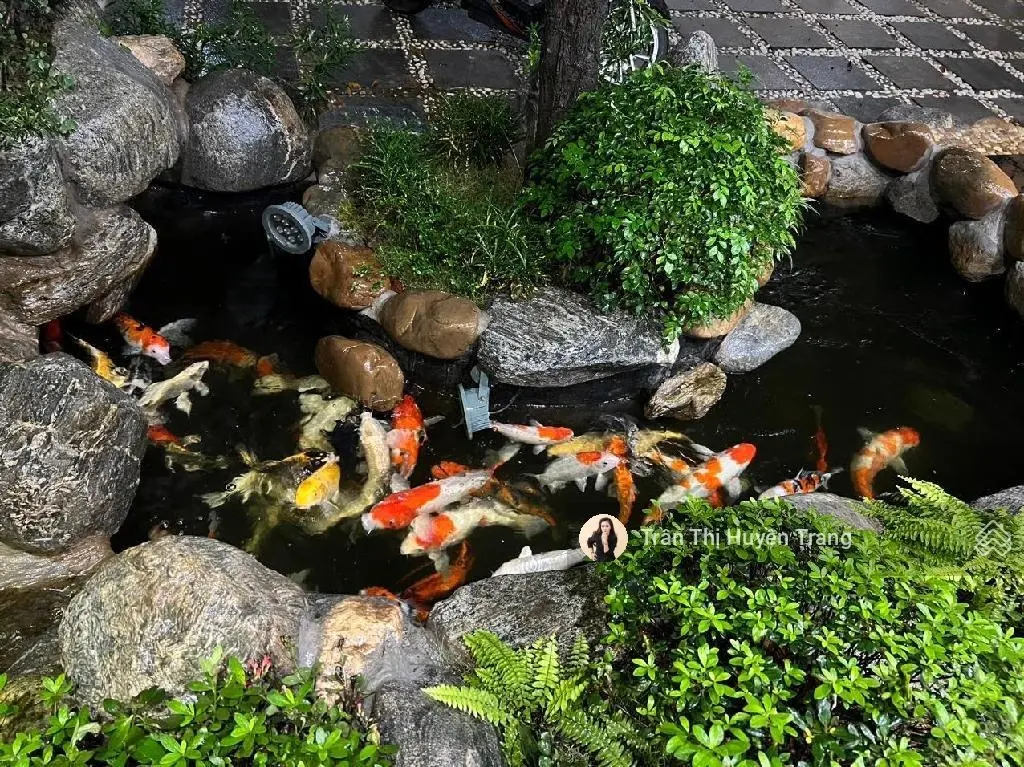 Bán biệt thự sân vườn 200m phố vĩnh phúc, gara ô tô, bể bơi, tiểu cảnh siêu đẹp, 32 tỷ o973355.626