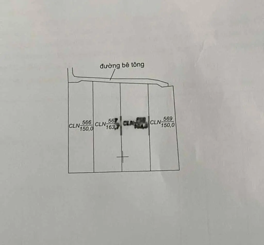 4 nền Mỹ Phong giá chỉ 3xx