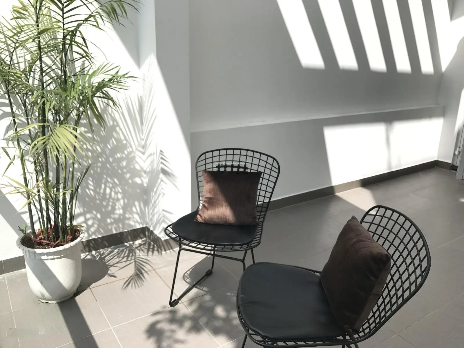 CHDV Hoàng Hoa Thám 25tr/ Tháng 49m2 3 Tầng Hẻm Rộng Sát Phan Đăng Lưu Lh:0987152506