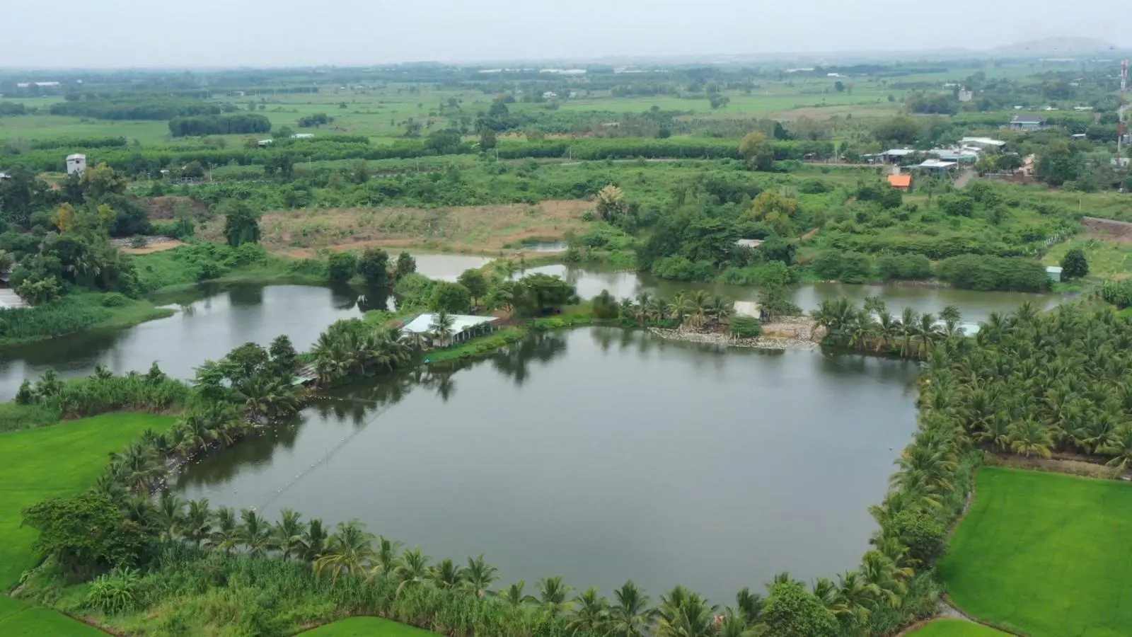 Đất Đầu Tư