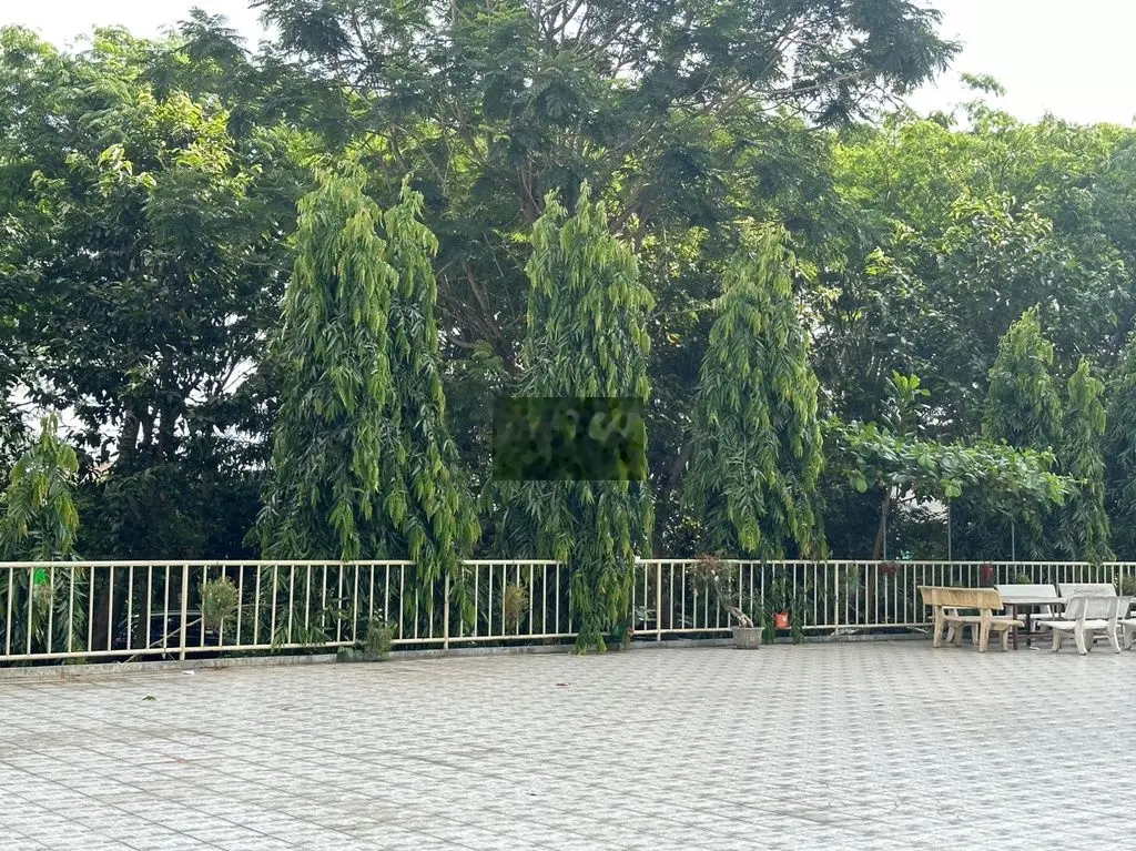 📣📣Căn hộ tầng trệt Phú Mỹ Thuận✅145m2,1 trệt, 1 lầu ✅tiện kd 💰3.5 Tỷ 🔥