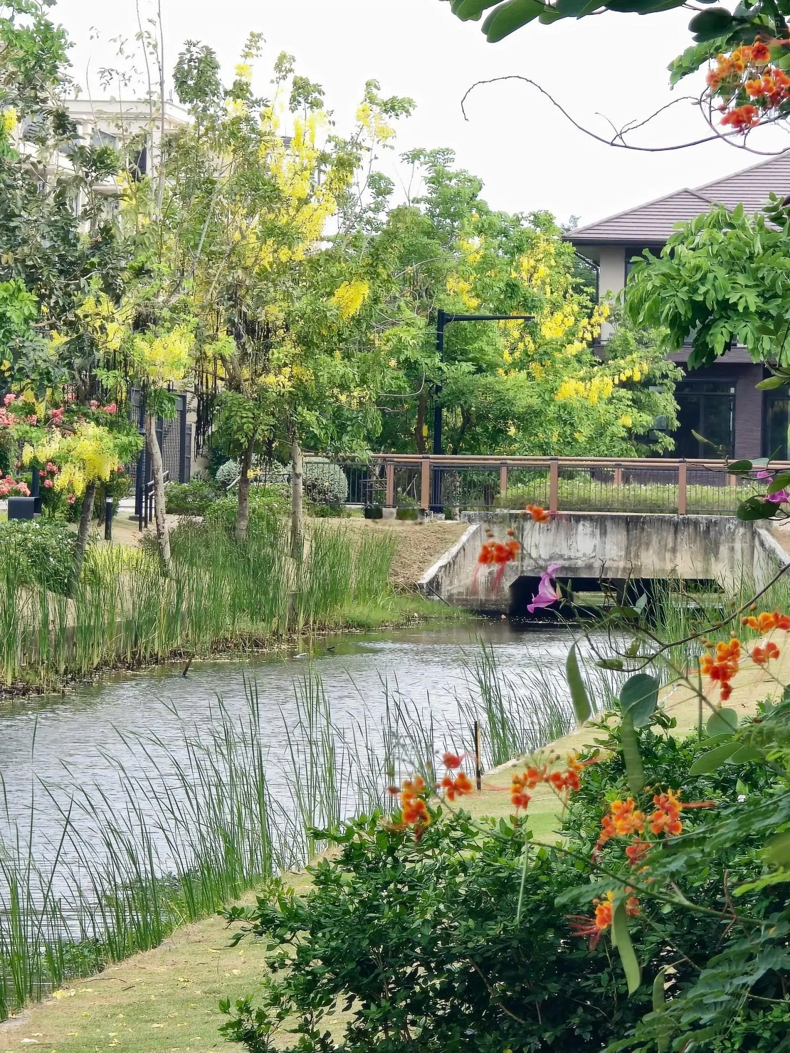 Hàng hiếm biệt thự kênh đào tại khu đô thị Waterpoint, 41,7 triệu/m2, DT: 468 m2