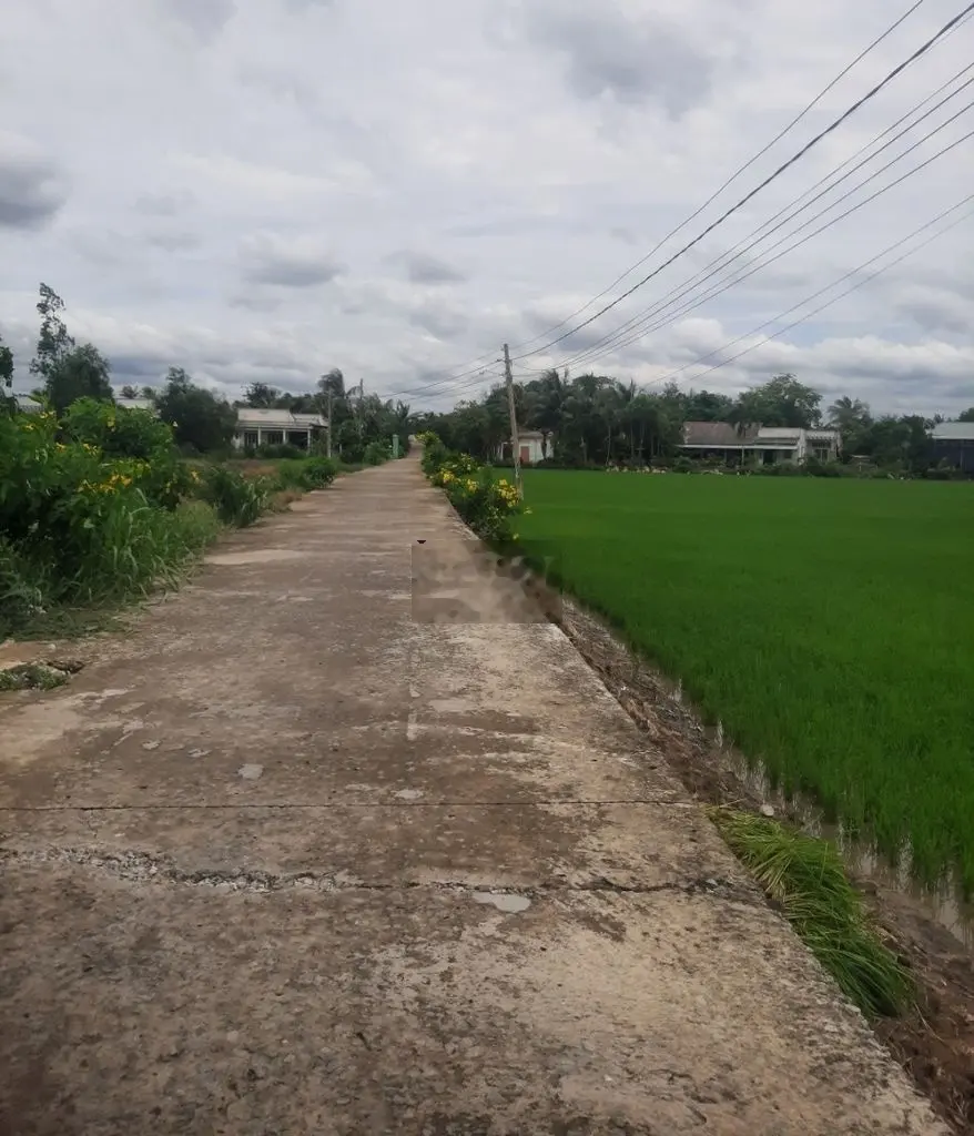 💎 Bán Đất (15.5 x 28m) xây nhà vườn hết sảy, view sông cách QL50 200m
