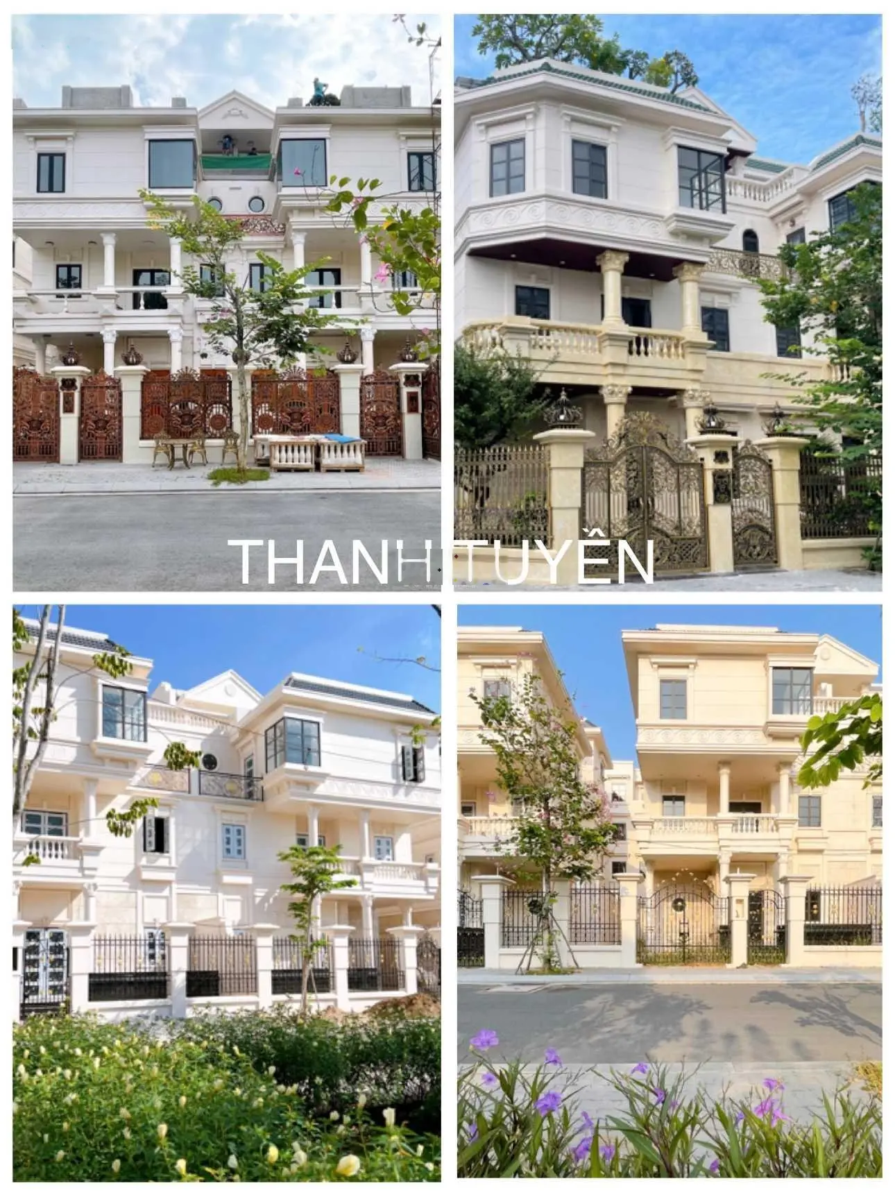 Giỏ hàng nhà phố, biệt thự, NPTM CityLand Park Hills tháng 12/2024. Thanh Tuyền