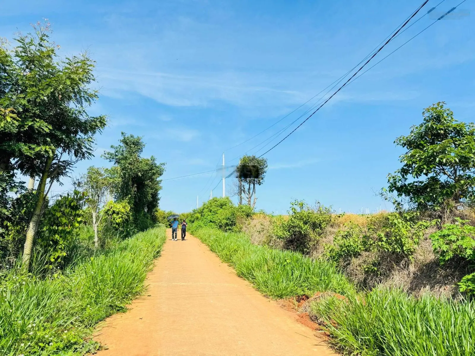 Đất Tân Hà, Lâm Đồng Giá Rẻ - view đẹp, săn mây ngay tại nhà