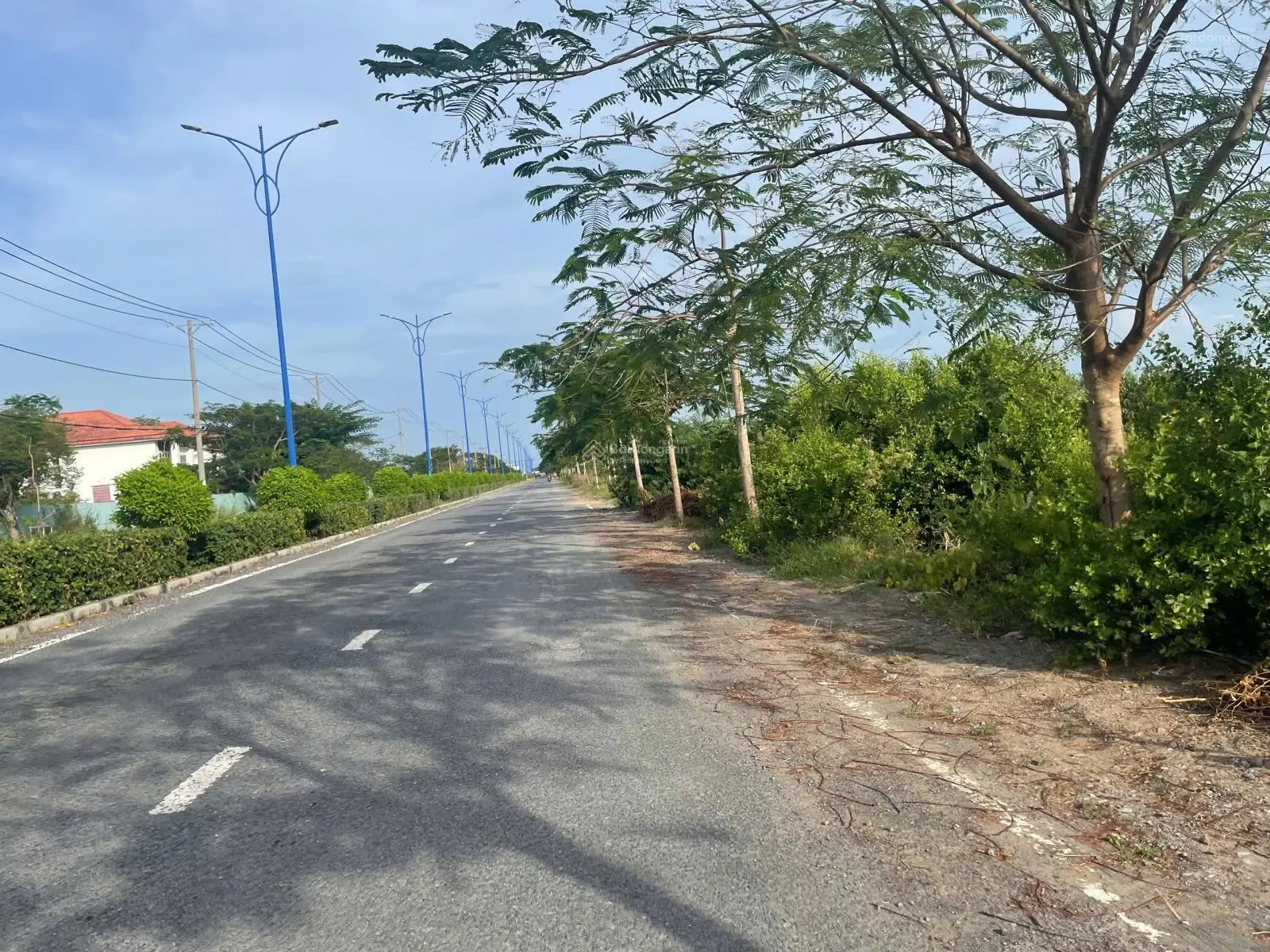 Mặt tiền Lương Văn Nho (20x52)-1099m2 thị trấn Cần Thạnh