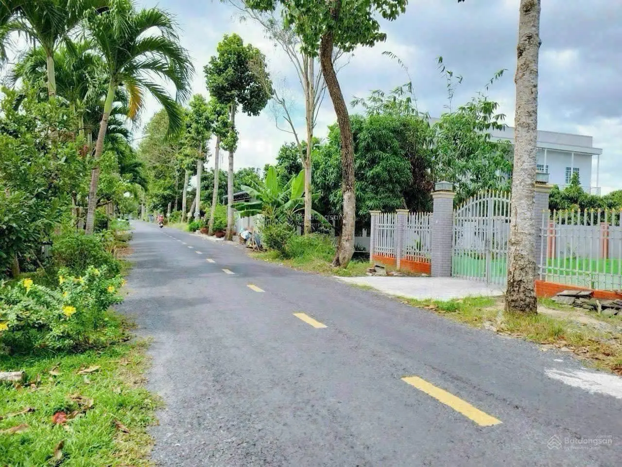 Chính chủ cần bán 110m2 đất gần trường chuyên bến tre có SHR, full thổ cư