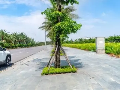 Cần bán lô góc shophouse dự án Nam Hồng Từ sơn Bắc Ninh
