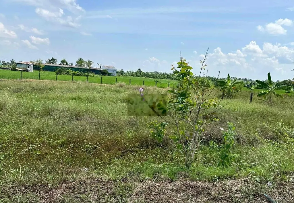 1300m2 sẵn Thổ Cư chiều ngang bự. Chỉ 550 triệu. có 2 Sổ Hồng