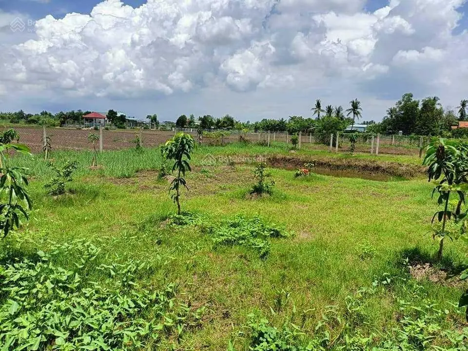 Chủ gửi bán nền đất 500m2 vườn, đường xe hơi, gần nhà thờ giáo xứ Cần Giuộc, giá rẻ, SHR