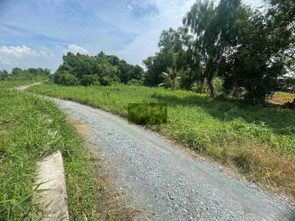 bán lô đất 1170m mặt tiền kênh nhà vuông bình mỹ, củ chi