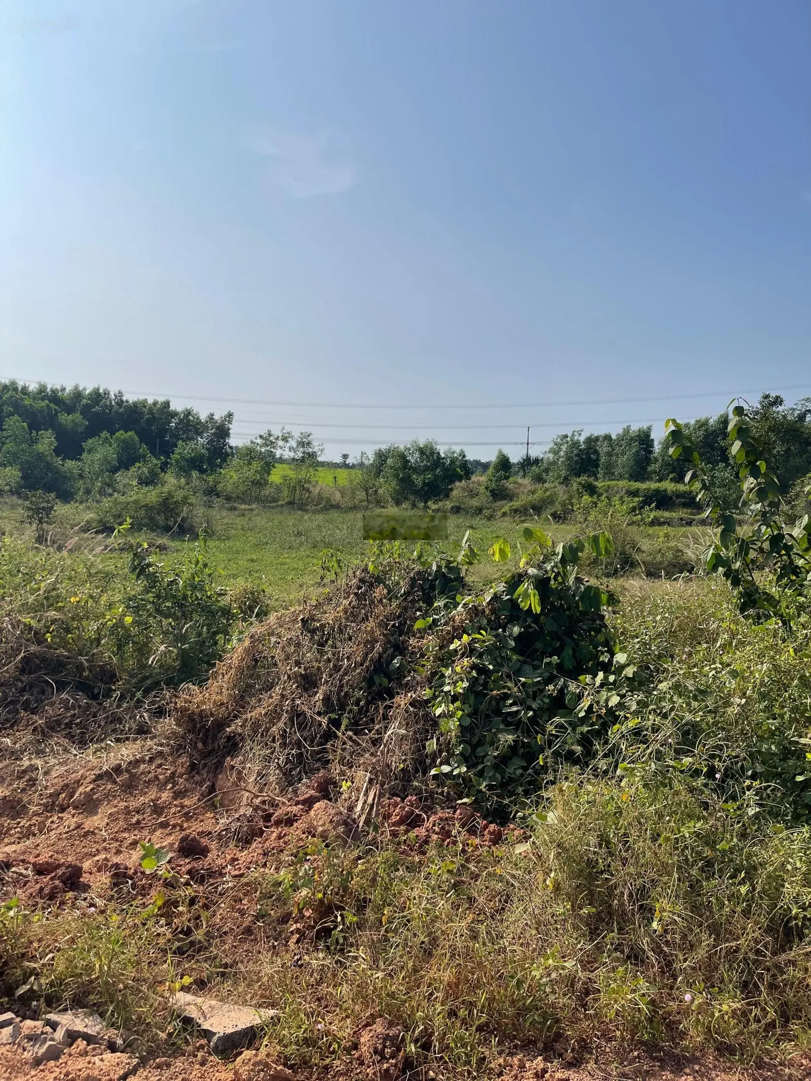 Bán đất giá rẻ đang ngộp lãi ngân hàng thị trấn Vĩnh An