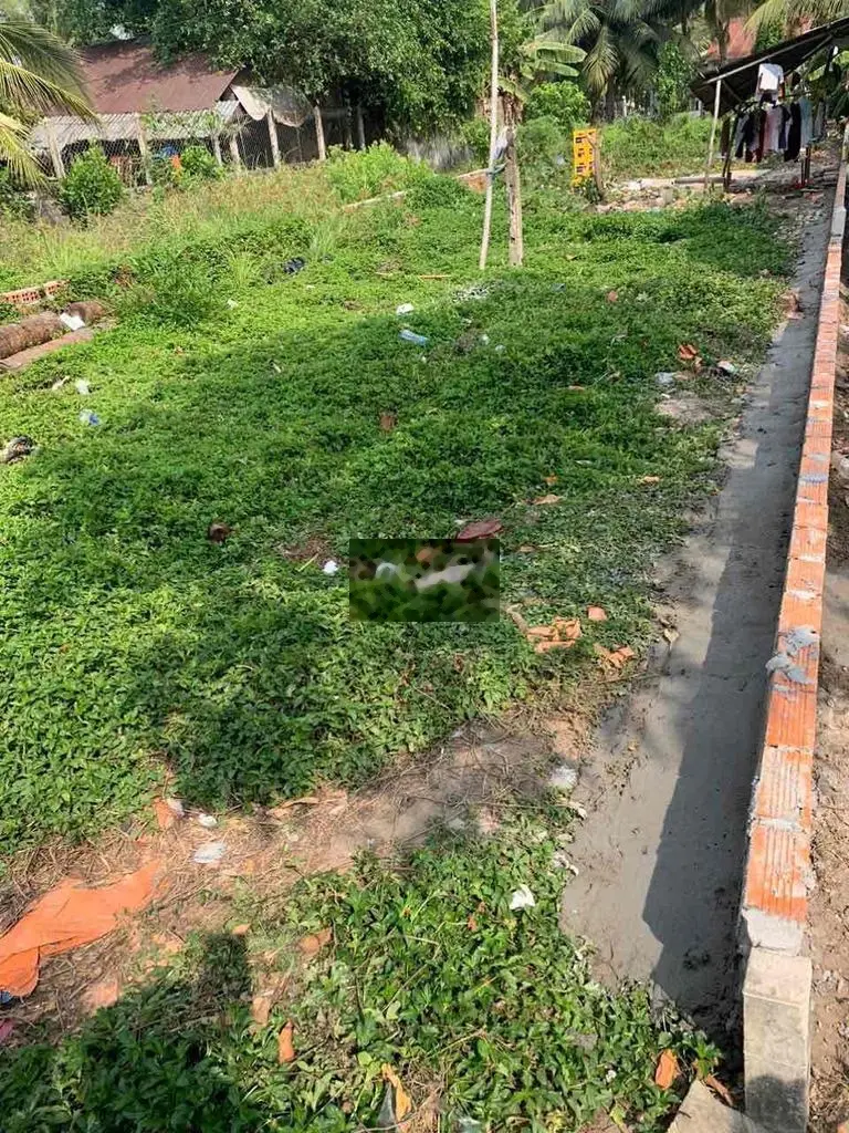 Đất bán sổ hồng trao tay cọc ranh rõ ràng. giá cã mềm mại