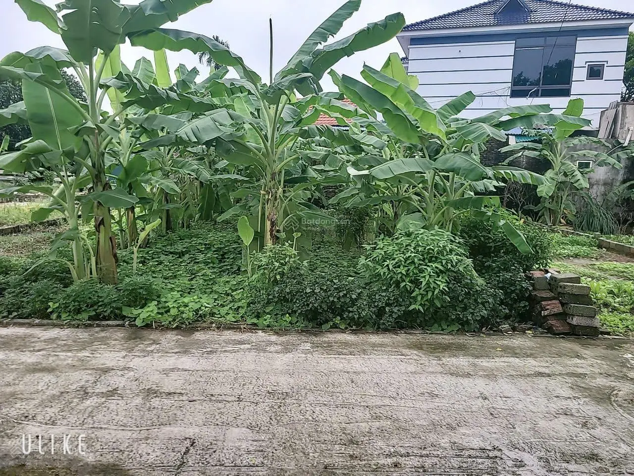 Bán đất thị trấn khoái châu thông số vàng thửa đất đẹp diện tích 68m2 mặt 4,5m, giá chưa đến 900tr