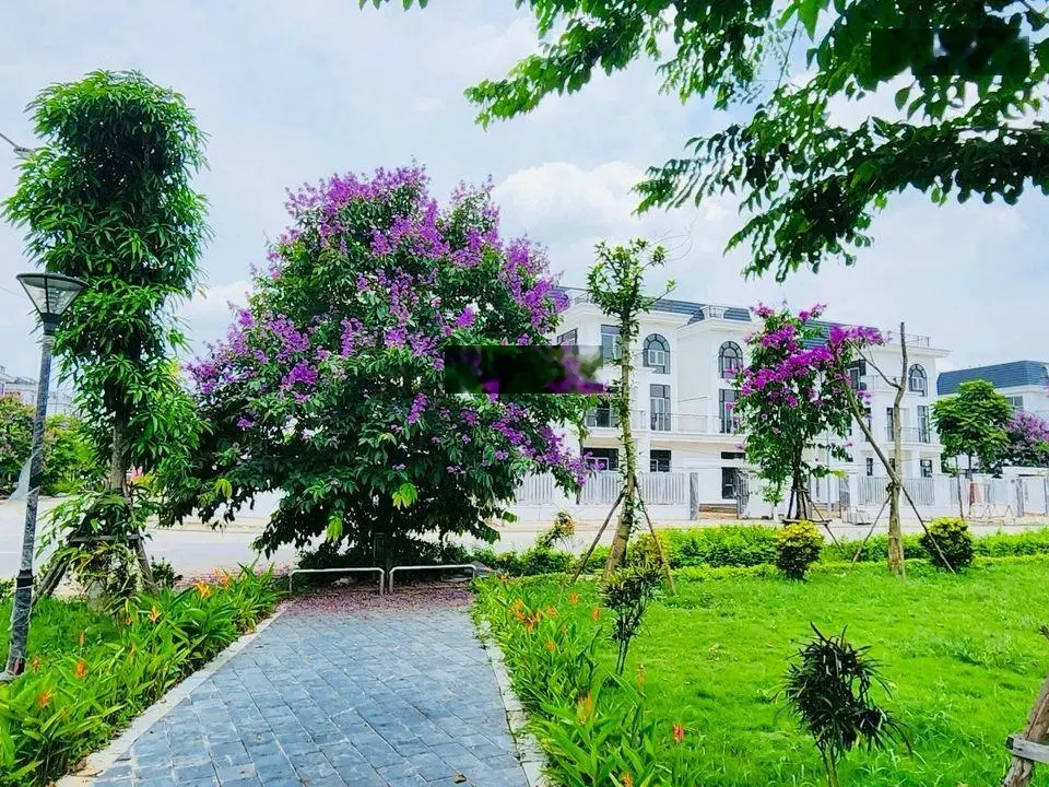 Tài chính nhỉnh 17 tỷ sở hữu Biệt thự song lập HUD Mê Linh DT 268m,vay bank 70%,vào tiền tiến độ