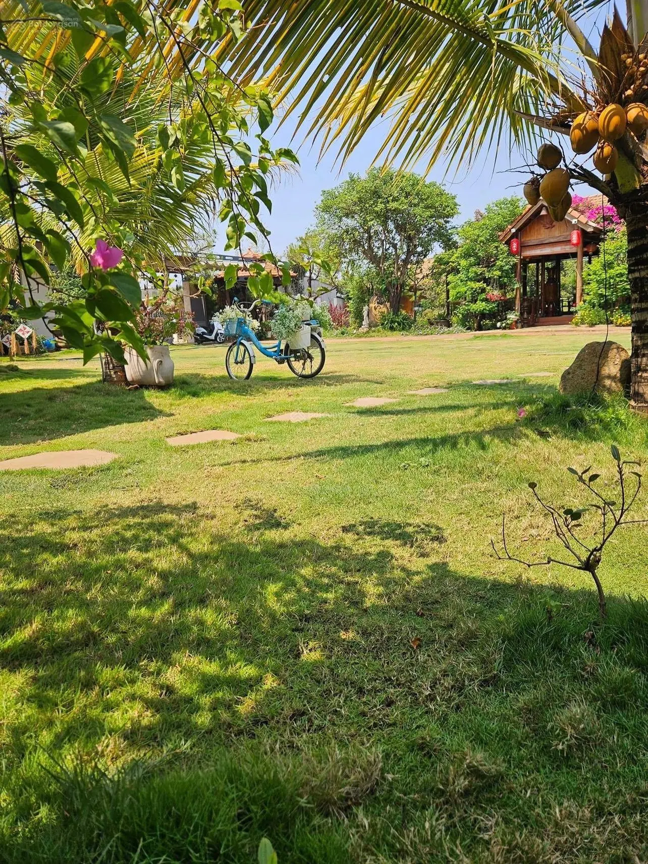 Lô đất farmstay kết hợp nghỉ dưỡng 1.400m2 đất thổ cư có suối ôm vòng quanh giữa trung tâm Tam Đảo