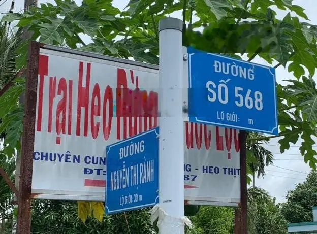 Bán đất Củ Chi, lô đất vườn góc 2 mặt tiền đường xe oto, 3.559m2, xã Trung Lập Hạ