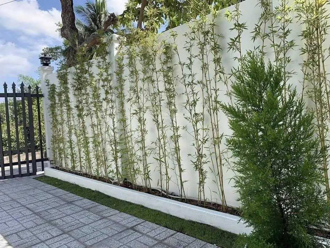 Bán nhà mặt phố Đinh Đức Thiện, 100m2, 3PN, 2WC