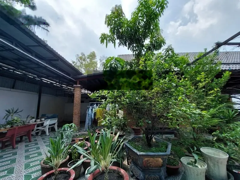 Bán nhà hẻm Đặng Thúc Vịnh, Đông Thạnh Hóc Môn 650m2 giá 41 tỷ
