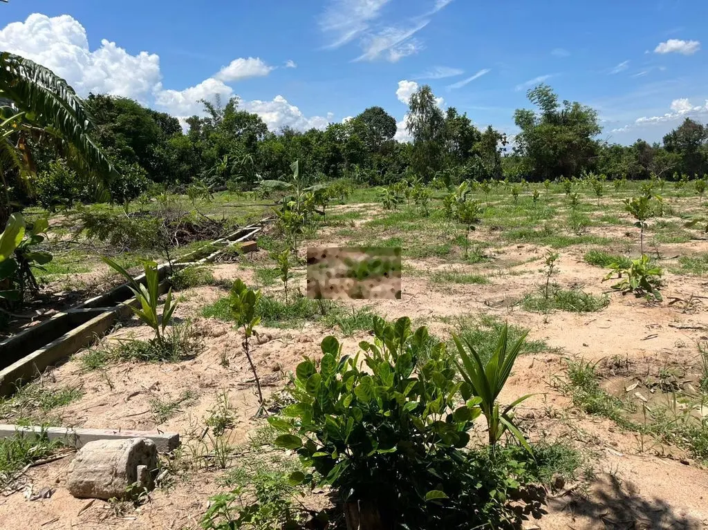 Cần bán 1.6ha đất thổ cư mặt tiền đường ngay trung tâm xã Suối Rao
