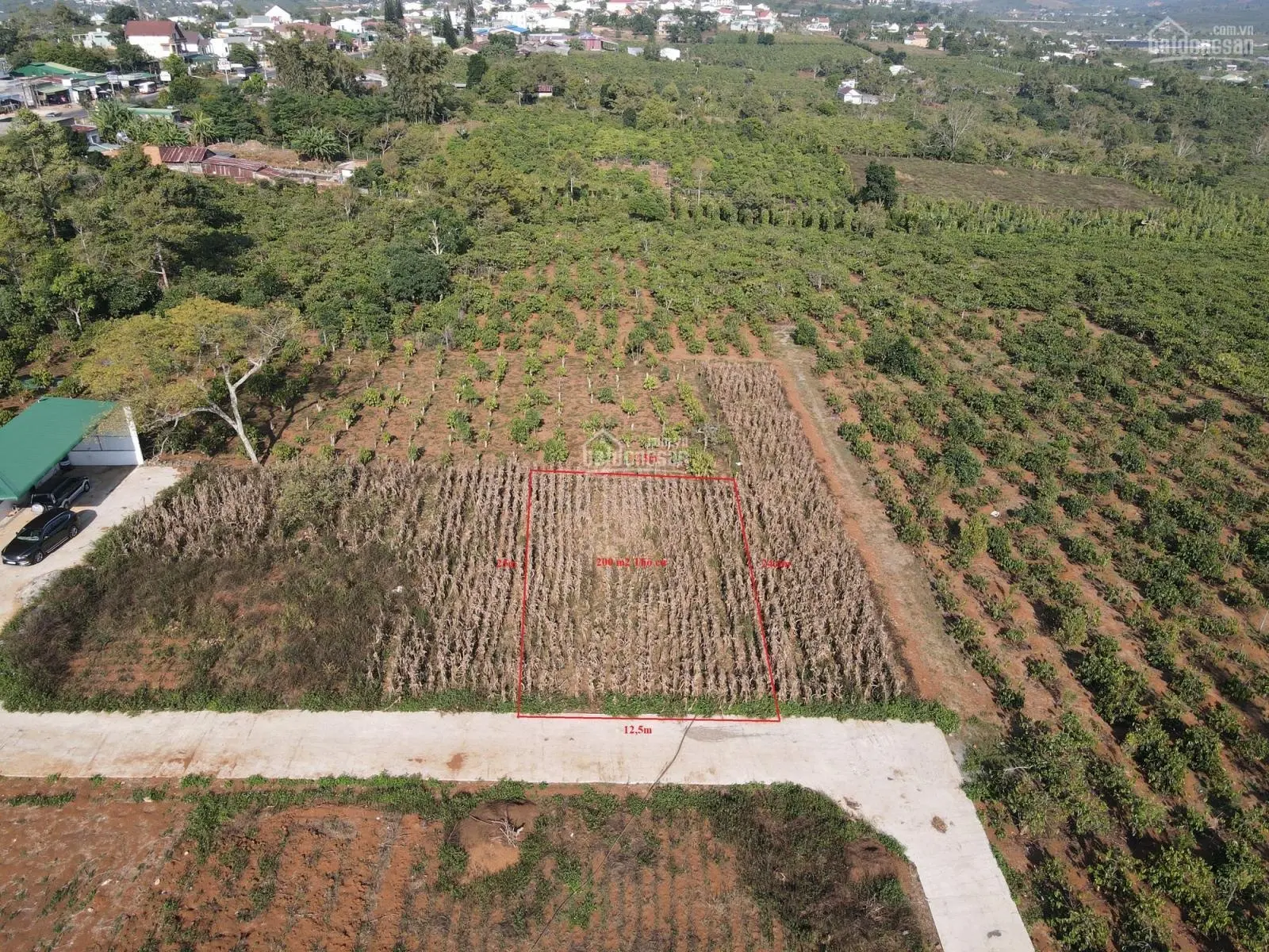 Chính chủ cần bán đất tại thị trấn Di Linh, huyện Di Linh, Lâm Đồng