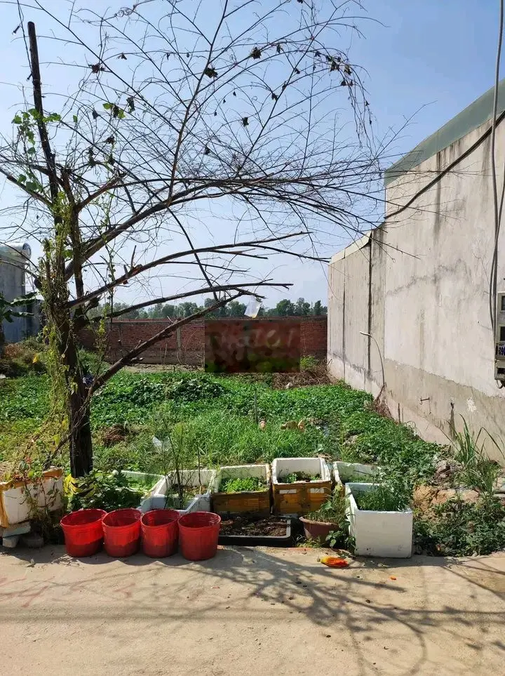 Giá chỉ 729 triệu, lô đất 92,4m2, SHR, Mỹ Phước 2, Bến Cát