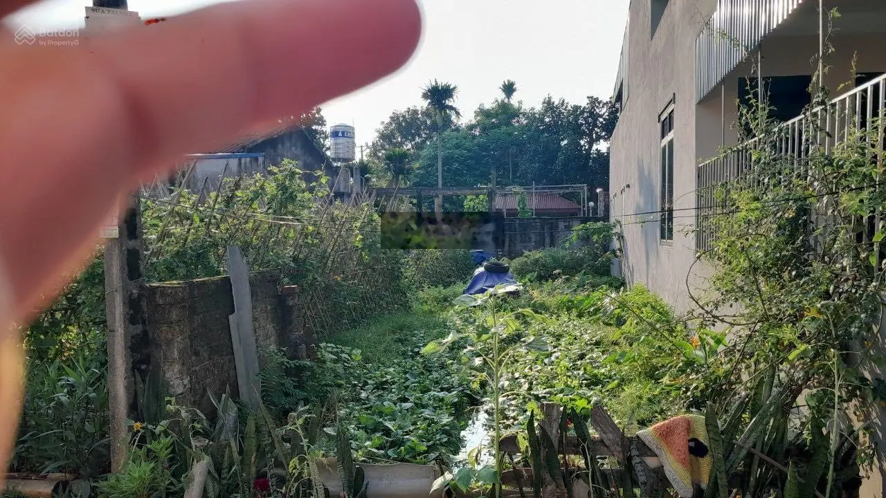 Bán đất chính chủ tại Quang Vinh