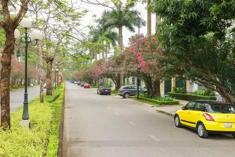 Cần bán nhanh 1 số căn biệt thự giá tốt tại KĐT Ciputra, Tây Hồ, Hà Nội