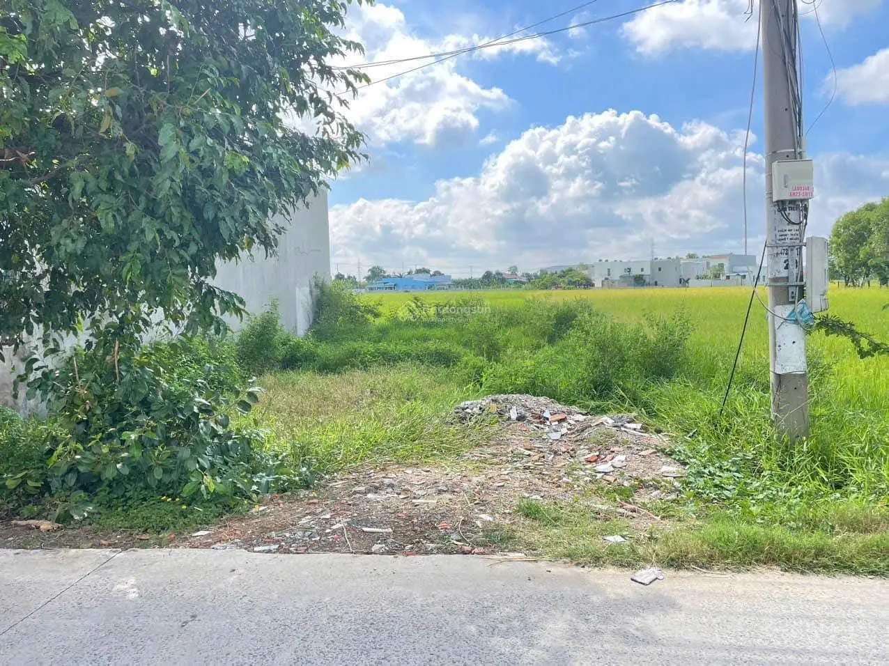 Cần bán gấp đất tại Xã Sơn Đông, Bến Tre, 216m2, đất thổ/SHR, ngay chợ Sơn Đông