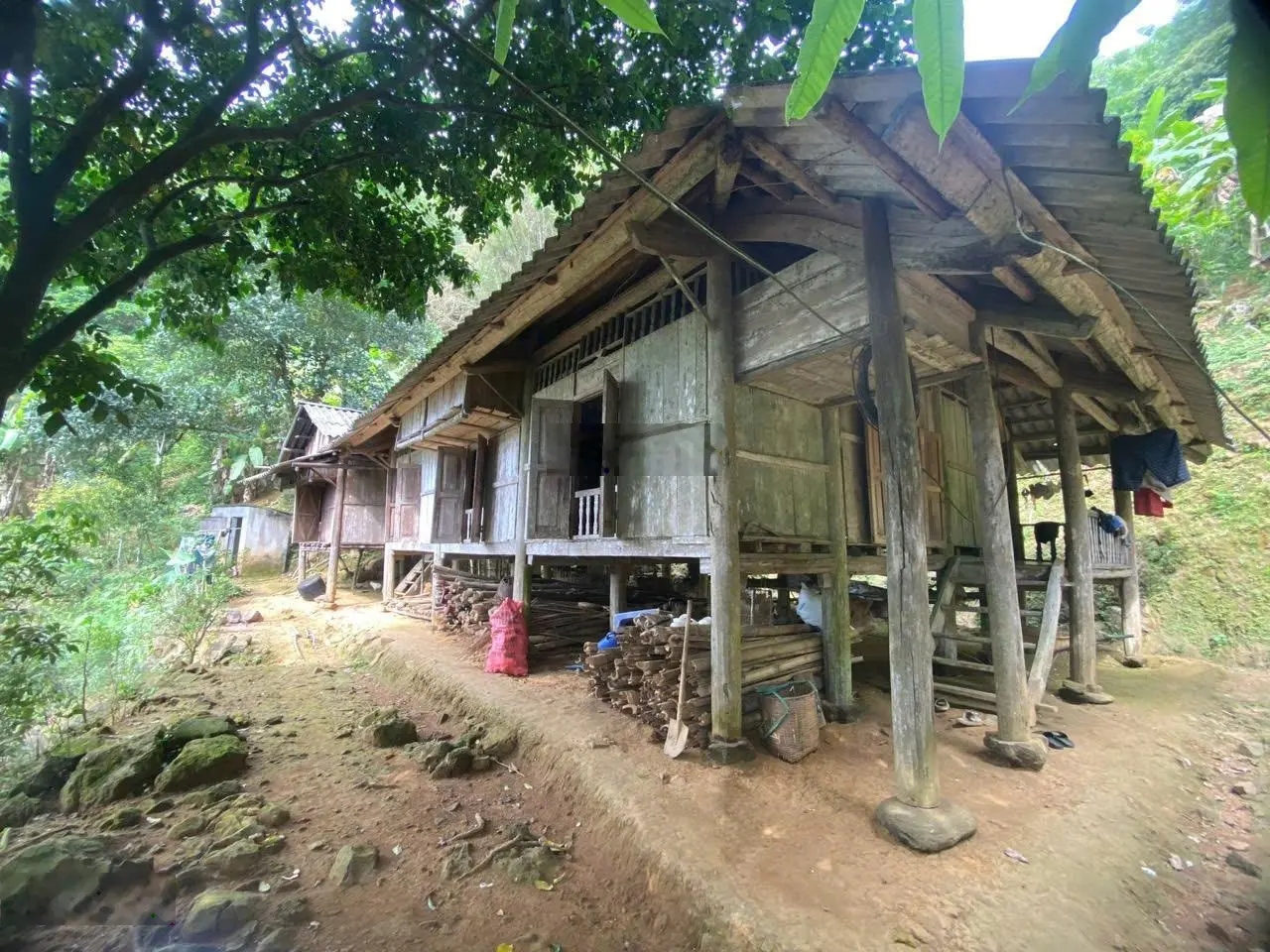 Siêu phẩm 1700m2 đất ở đô thị 240m2 còn lại là đất vườn trồng cây lâu năm tại Thái Bình, Hòa Bình
