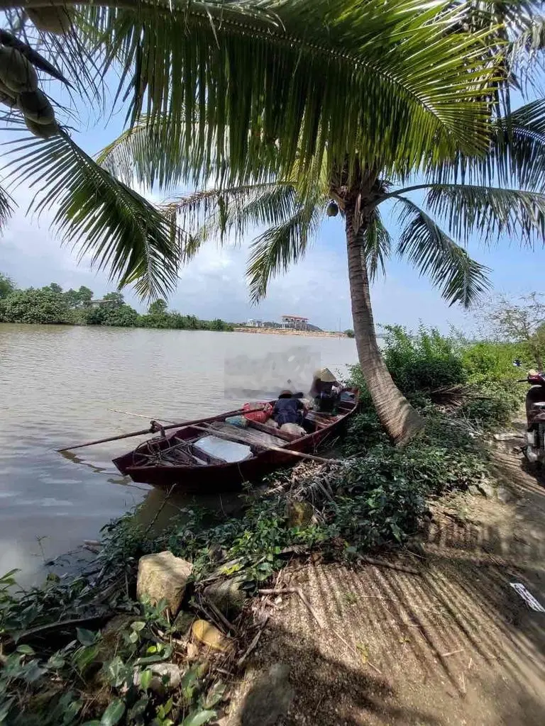đất odt view