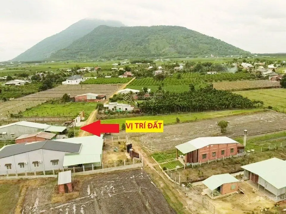 Bán lẹ miếng đất TC liền kề đường nhựa, ngang 8m dài 44m chỉ 530tr (sẵn sổ)