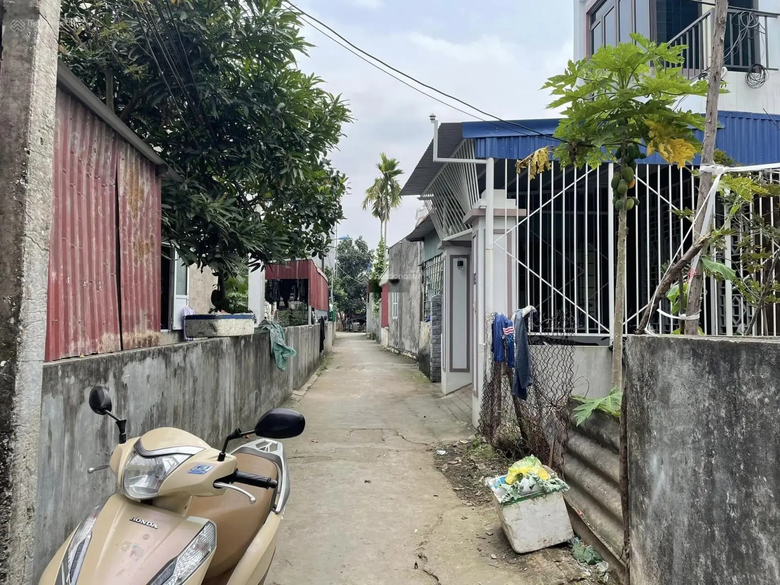 Chính chủ cần bán lô đất ngõ 130 Cát Linh, Tràng Cát, Hải An, Hải Phòng
