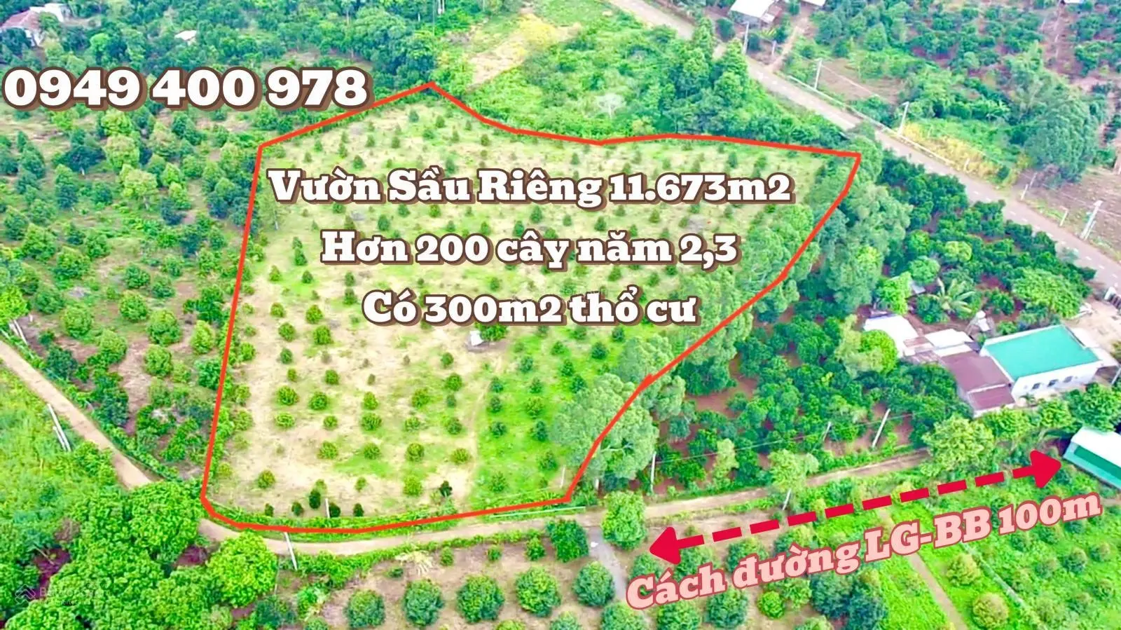 Bán Vườn Sầu Riêng 11.674m2, có 300m2 thổ cư, 1 sẹc đường Long Giao-Bảo Bình, Cẩm Mỹ, Đồng Nai