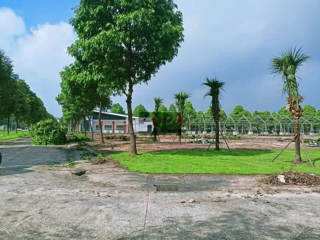 Gia đình em cần bán nhanh lô đất nằm sau TTHC bàu bàng, giá chỉ 880tr