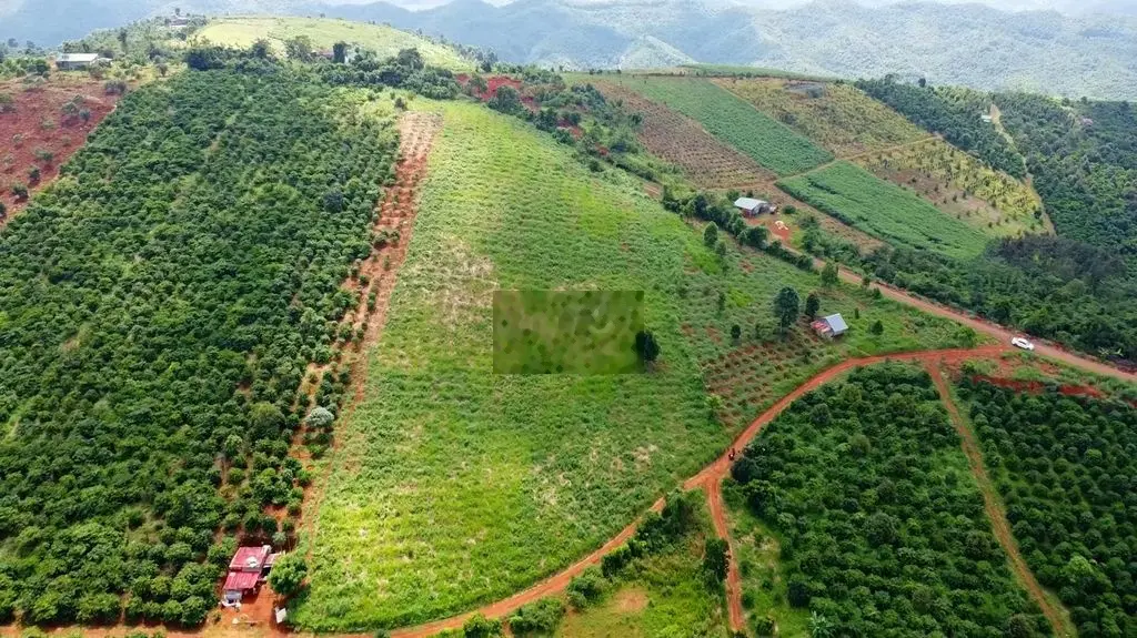 Bán đất Gia Nghĩa. 9200m2, 70m đường nhựa, view đẹp. 800 Triệu tổng lô