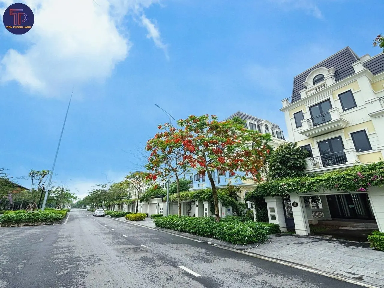 Quỹ căn biệt thự, liền kề kđt an lạc green symphony