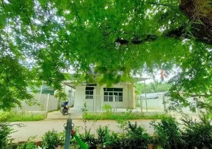 bán nhà vườn 237m2 , 2 phòng ngủ ,lộ ô tô xã phú hưng , tỉnh bến tre