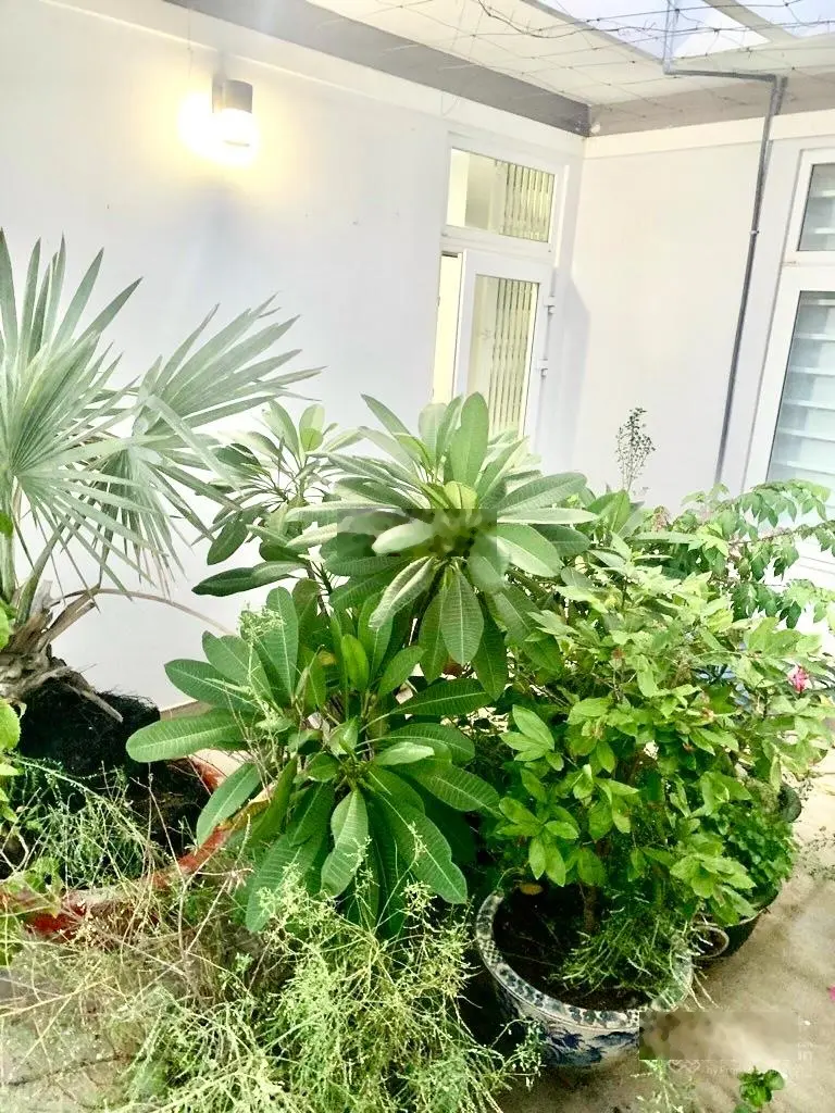 Chủ nhiệt giảm mạnh - siêu phẩm biệt 3 tầng - ngay Kha Vạn Cân - HXH - ngang hoành tráng 8m - 120m2