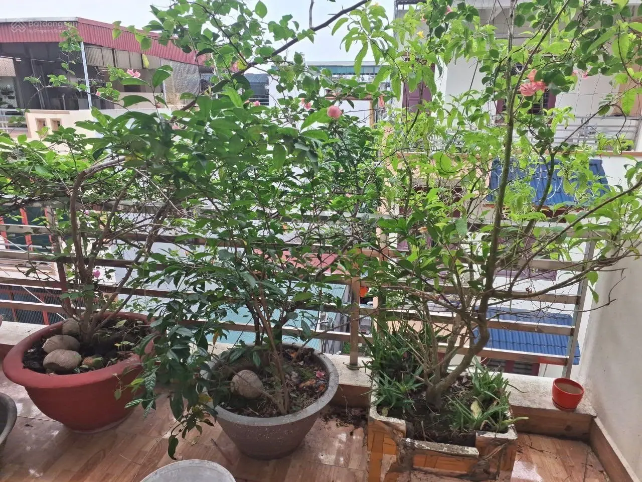 Bán nhà 4 tầng tại khu Vạn Phúc, Thanh Bình, Hải Dương. Diện tích 66m2