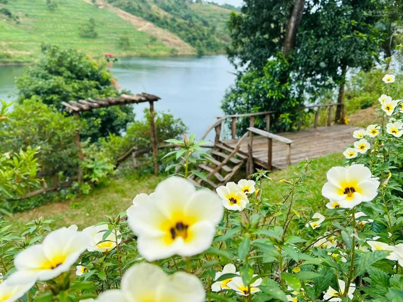 Bán Homestay view hồ Tp Gia Nghĩa - vẻ đẹp đến tự sự mộc mạc