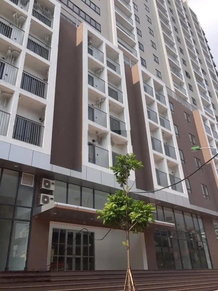 Chủ đầu tư mở bán 1 căn duy nhất vào tên trực tiếp trên hợp đồng mua bán. Diện tích 160m2 - 4PN3WC